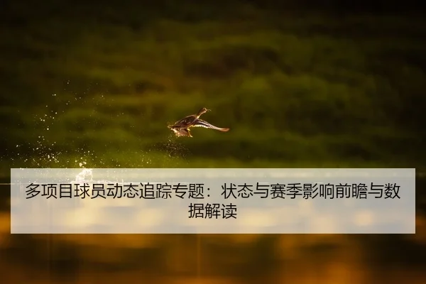 多项目球员动态追踪专题：状态与赛季影响前瞻与数据解读